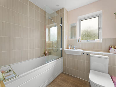 Picture 10